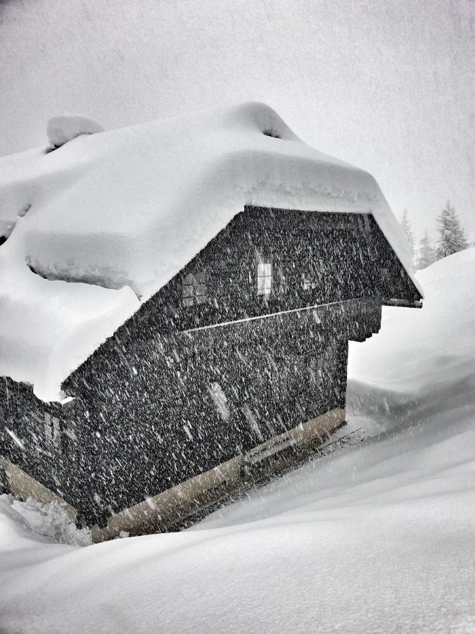 Das Bergerleben Sonnenalpe Nassfeld Eksteriør bilde